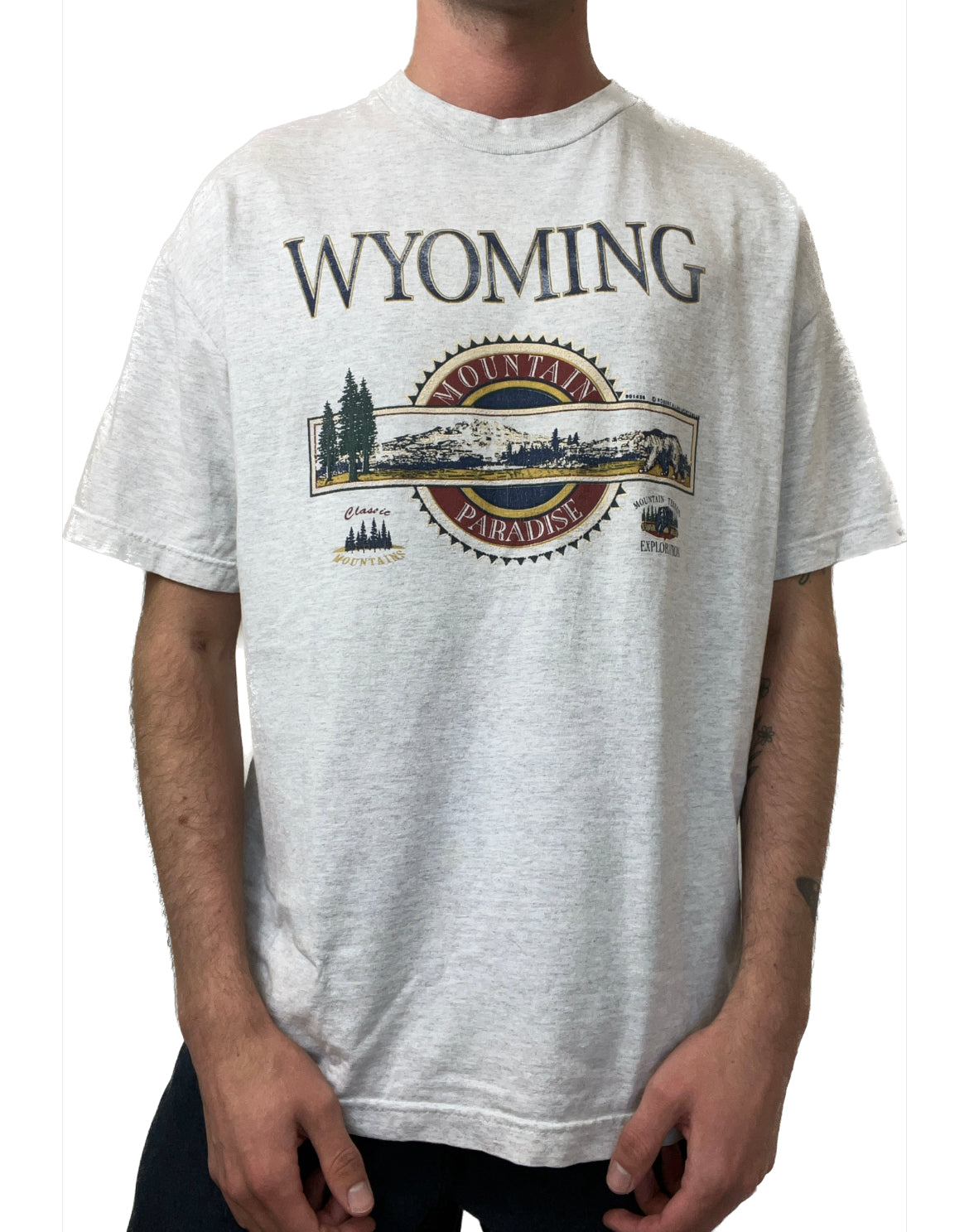 Vintage Wyoming t-shirt
